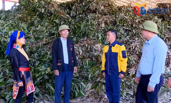 Phát huy vai trò hạt nhân lãnh đạo ở cơ sở 