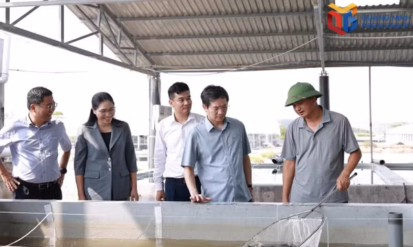 “Khơi dậy sức sáng tạo của nông dân trong xây dựng nông thôn mới”