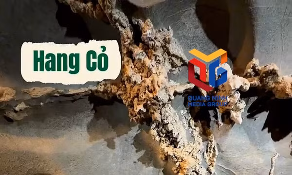 Khám phá vẻ đẹp kỳ ảo của Hang Cỏ trên Vịnh Hạ Long