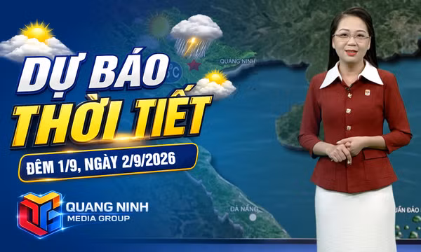 Dự báo thời tiết đêm 1/9, ngày 2/9/2026