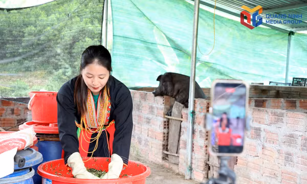 Phát huy vai trò tiên phong của đảng viên trẻ ở Phủ Liễn