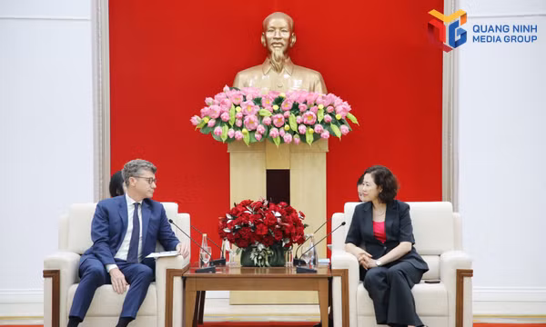 Lãnh đạo thành phố Quảng Ninh tiếp xã giao Trưởng Đại diện tổ chức UNESCO tại Việt Nam