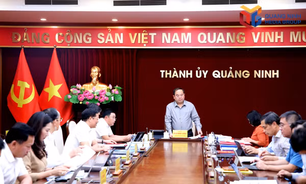 Ban Thường vụ Thành ủy nghe và cho ý kiến đối với một số nội dung quan trọng