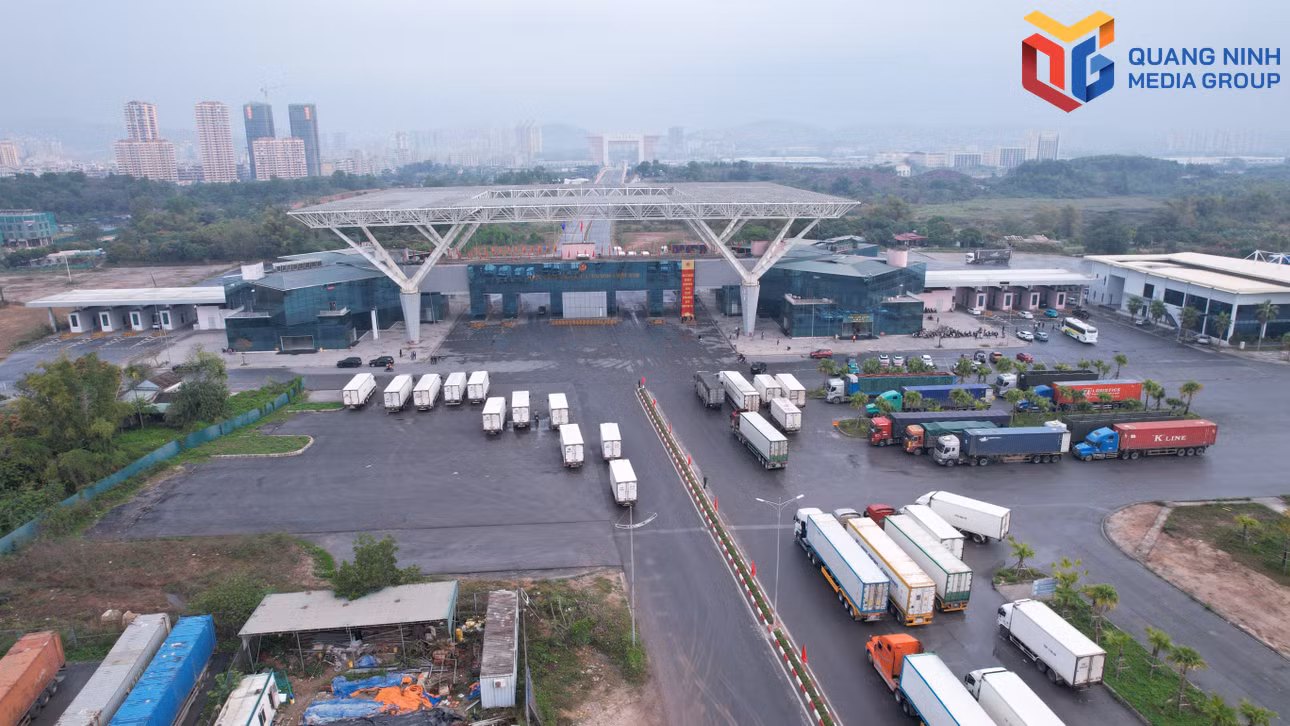 bqn_tr_dji-0195.jpg