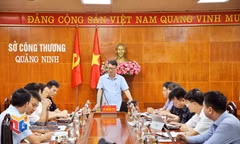 Thúc đẩy tiêu thụ tấm quang năng tại thị trường trong nước