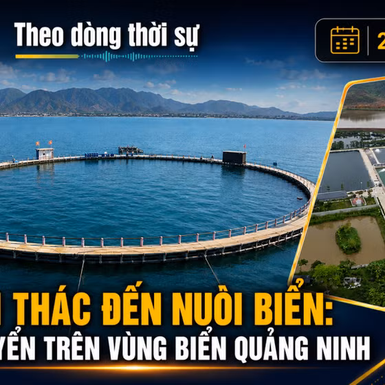 Theo dòng thời sự 27/7/2026: Từ khai thác đến nuôi biển: bước chuyển trên vùng biển Quảng Ninh 